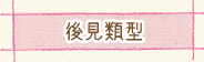 後見類型
